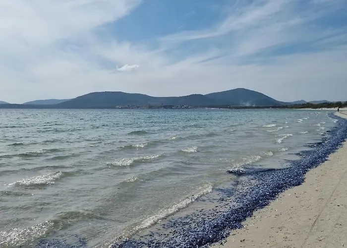 Lidoisola, Vicino Spiaggia, Aria Condizionata,Posto Auto Privato, Ascensore