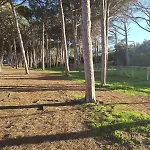 Lidoisola, Vicino Spiaggia, Aria Condizionata,posto Auto Privato, Ascensore דירה אלגהרו