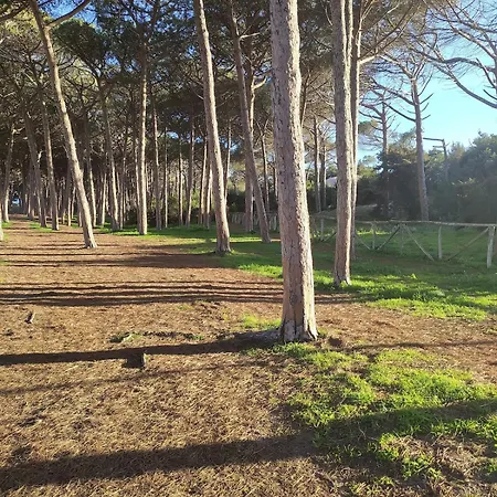 Lidoisola, 400 M Dalla Del Lido, Posto Auto Privato Apartment Alghero