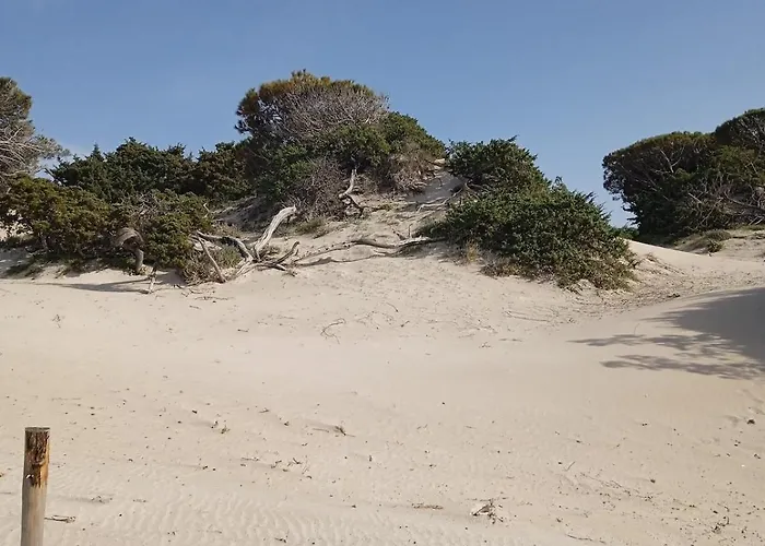 Daire Lidoisola, Vicino Spiaggia, Aria Condizionata,Posto Auto Privato, Ascensore *