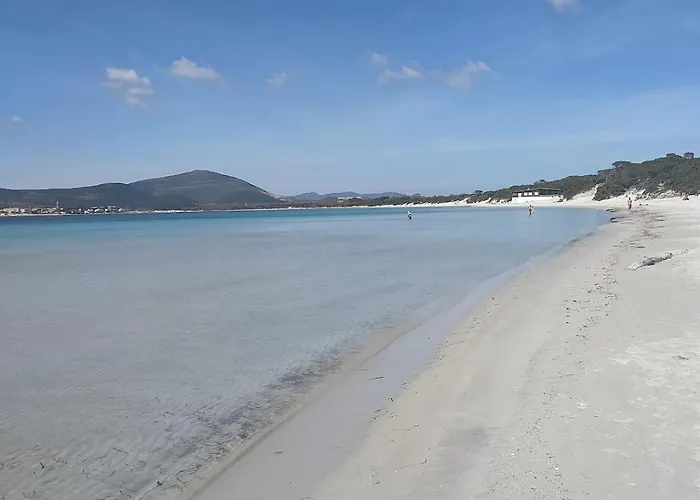 Daire Lidoisola, Vicino Spiaggia, Aria Condizionata,Posto Auto Privato, Ascensore Alghero