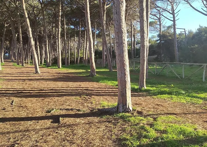 Lidoisola, Vicino Spiaggia, Aria Condizionata,Posto Auto Privato, Ascensore Daire Alghero